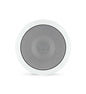 Satellite Ceiling Speaker