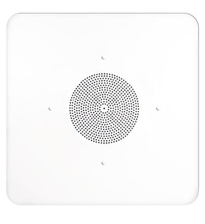 2'x2' G86 Ceiling Tile Speaker