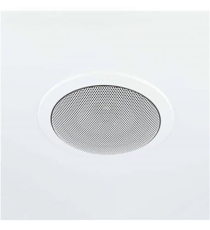 Satellite Ceiling Speaker