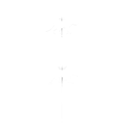 22 Rimfire AR500 1/4" Animal Target Set