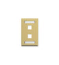 FACEPLATE, ID, 1-GANG, 2-PORT, IVORY